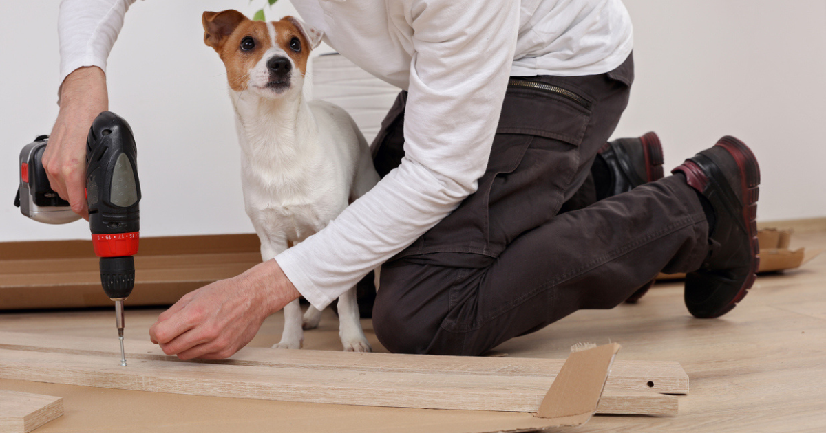 Remodeling Ideas for Pet Owners - NYKB